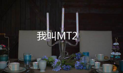 我叫MT2下载