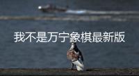 我不是万宁象棋最新版