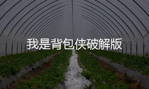 我是背包侠破解版下载