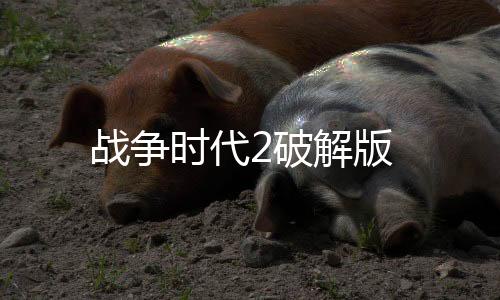 战争时代2破解版下载