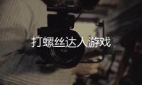 打螺丝达人游戏