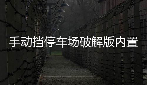 手动挡停车场破解版内置菜单汉化版下载