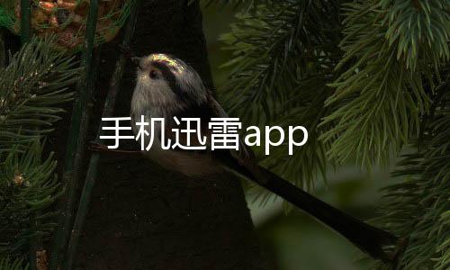 手机迅雷app下载