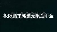 极限赛车驾驶无限金币全车辆解锁版(Extreme Car Driving Simulator)