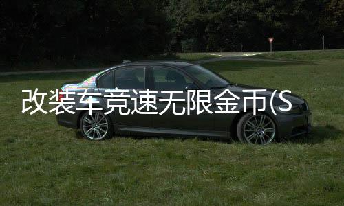 改装车竞速无限金币(Stock Cars)下载