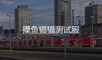 摸鱼猫猫测试服