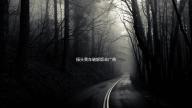 撞头赛车破解版去广告