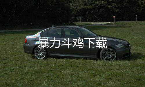 暴力斗鸡下载下载