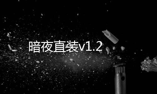 暗夜直装v1.2下载