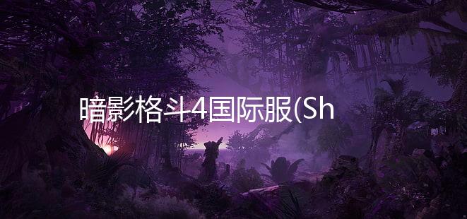 暗影格斗4国际服(Shadow Fight 4)下载