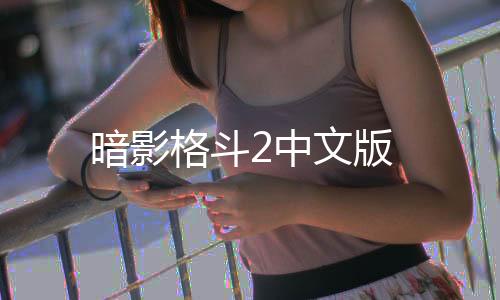 暗影格斗2中文版下载