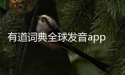 有道词典全球发音app下载 9.3.24下载