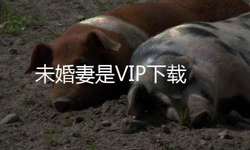未婚妻是VIP下载下载