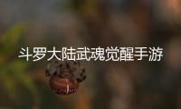 斗罗大陆武魂觉醒手游