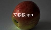 文叔叔app