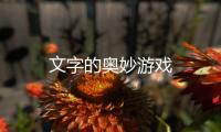 文字的奥妙游戏