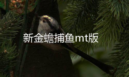 新金蟾捕鱼mt版下载
