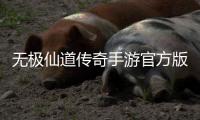 无极仙道传奇手游官方版