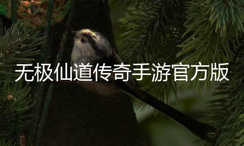 无极仙道传奇手游官方版下载