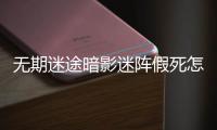 无期迷途暗影迷阵假死怎么玩-暗影迷阵假死通关方法