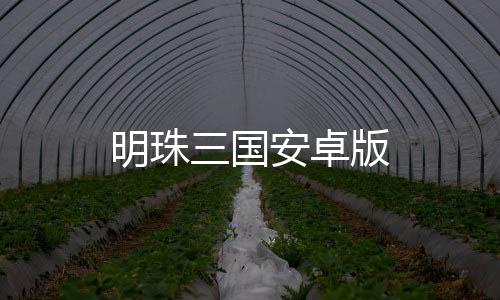 明珠三国安卓版下载