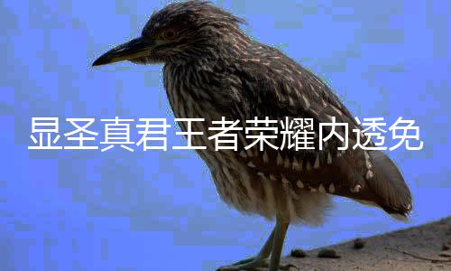 显圣真君王者荣耀内透免费版下载