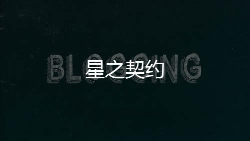 星之契约下载