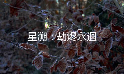 星溯：劫烬永迴下载