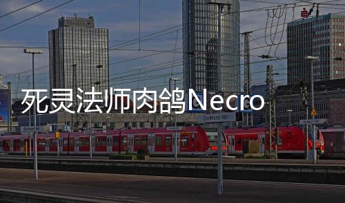 死灵法师肉鸽Necro : Roguelike RPG下载