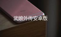 武娘外传安卓版