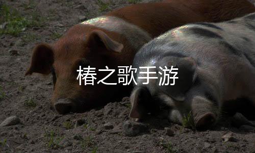 椿之歌手游下载