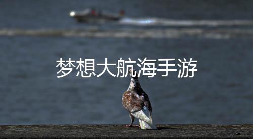 梦想大航海手游下载