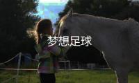 梦想足球
