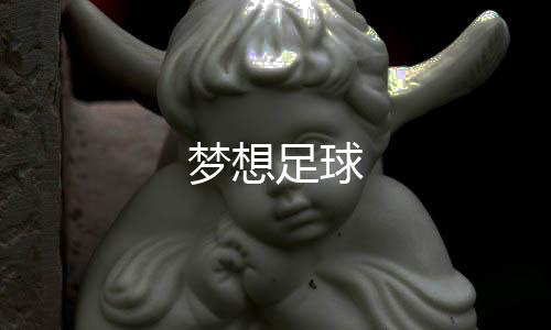 梦想足球下载