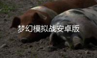 梦幻模拟战安卓版