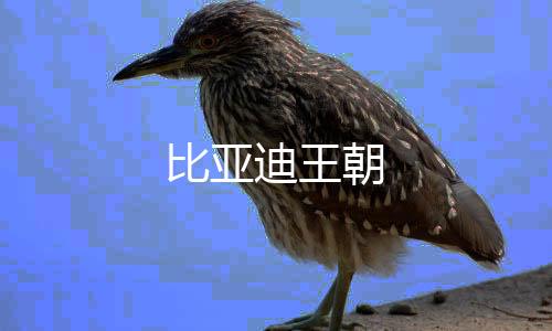 比亚迪王朝下载
