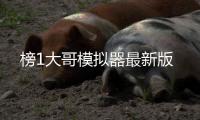 榜1大哥模拟器最新版