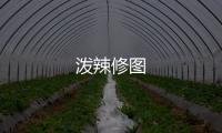 泼辣修图