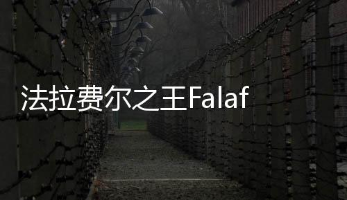 法拉费尔之王Falafel King安卓版中文版下载