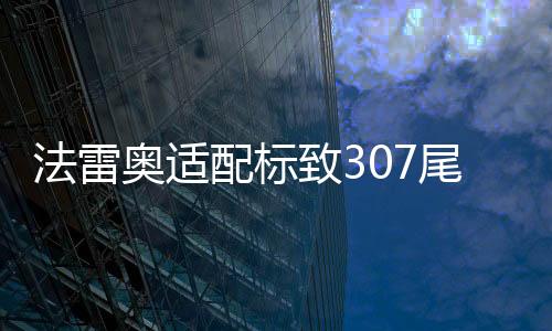 法雷奥适配标致307尾灯总成 小嘴三厢尾灯罩汽车后尾灯 正品配件下载