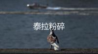 泰拉粉碎