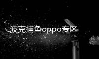 波克捕鱼oppo专区