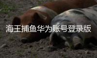 海王捕鱼华为账号登录版