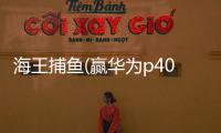 海王捕鱼(赢华为p40)