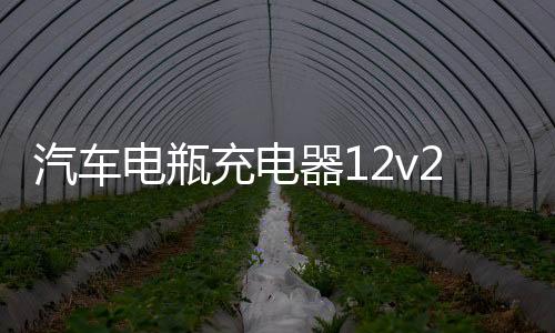 汽车电瓶充电器12v24v摩托车小车通用型智能脉冲修复电池充电机下载