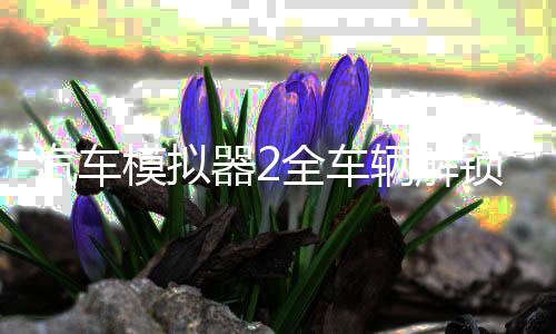 汽车模拟器2全车辆解锁版下载