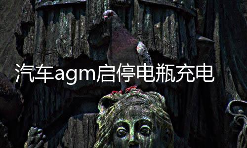汽车agm启停电瓶充电器12v24v大功率全自动智能通用摩托车蓄电池下载
