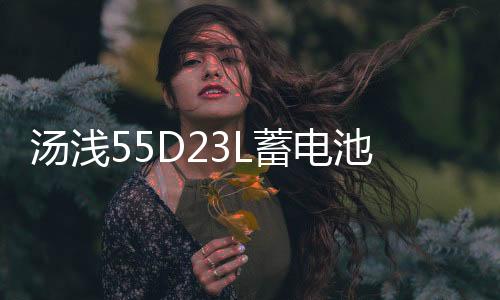 汤浅55D23L蓄电池适配现代朗动雅阁帝豪卡罗拉天籁花冠汽车蓄电瓶下载