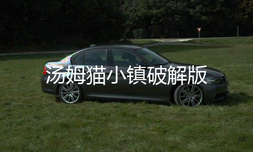 汤姆猫小镇破解版下载