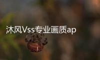 沐风Vss专业画质apk